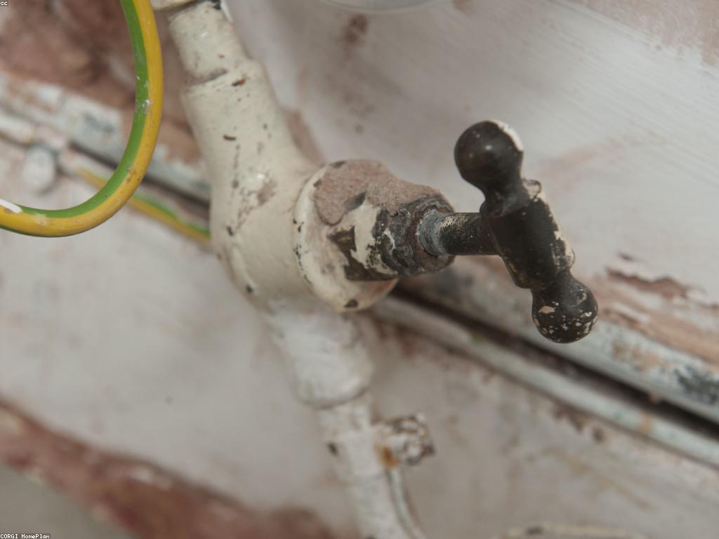 ααΆαααααα½ααα»αααΆα: αααααααααΆααααα’αΆα
αα½αα’αΆααΈαααααααααα’ααα